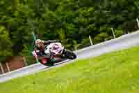 Brno;event-digital-images;motorbikes;no-limits;peter-wileman-photography;trackday;trackday-digital-images